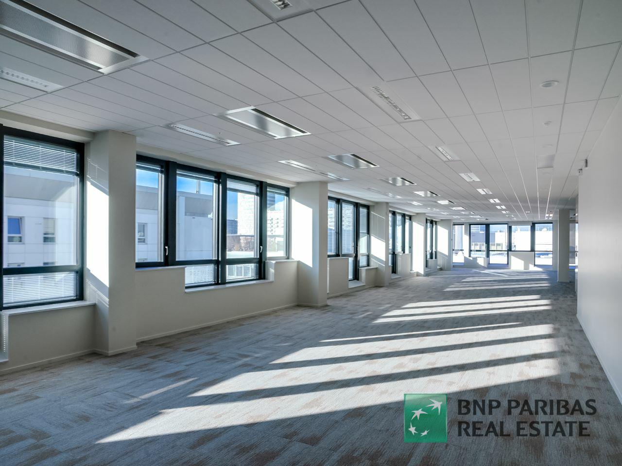 Bureau Lyon 1735m² Location bureau Lyon Rhône OLBUR2202122 28